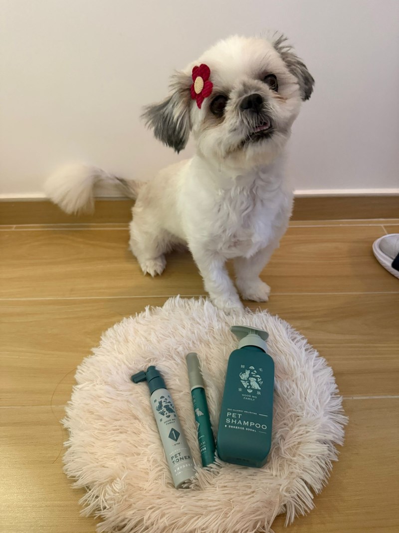 女人知己試用大隊,口碑行銷,部落客行銷,Goodmofamily歸毛家族 寵物肌膚救星組,歸毛家族 寵物肌膚救星,舒敏保濕洗毛乳,護膚噴液,精萃營養霜,博士30年生技專業,給足皮膚營養保護力,無抗生素 無類固醇,神經醯胺,19種綜合胺基酸,榮獲SNQ國家認證,上萬毛爸媽見證,3週幫助皮膚健康,NO.1寵物肌膚口碑霸主,寵物第一護膚領導品牌